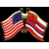 HAWAII PIN STATE FLAG USA FRIENDSHIP FLAGS PIN